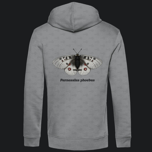 Herren Bio Hoodie mit Seitentaschen | Alpenapollo Parnassius phoebus