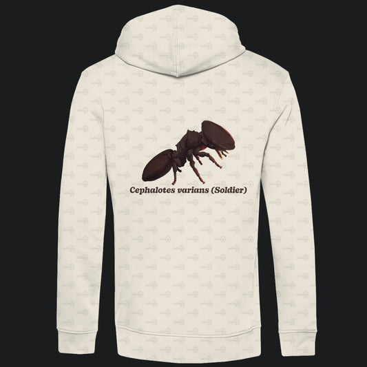 Herren Bio Hoodie mit Seitentaschen | Schildkrötenameise Cephalotes varians soldier
