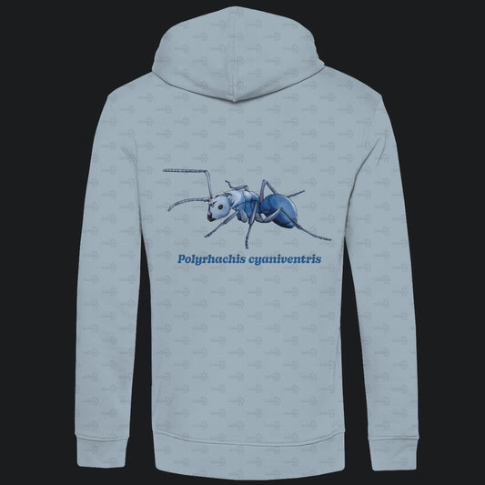 Herren Bio Hoodie mit Seitentaschen | Blau schillernde Schuppenameise Polyrhachis cyaniventris