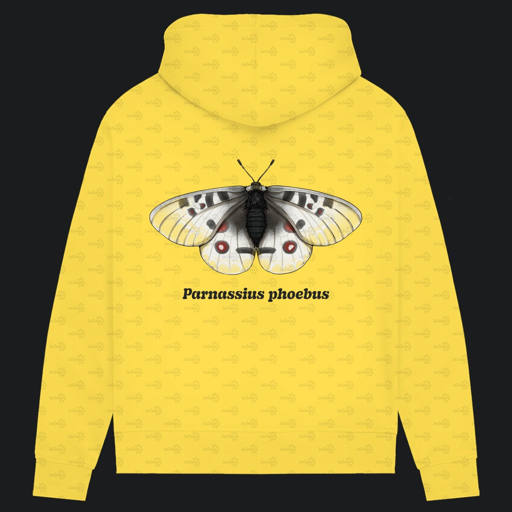Damen Bio Hoodie mit Seitentaschen | Alpenapollo Parnassius phoebus