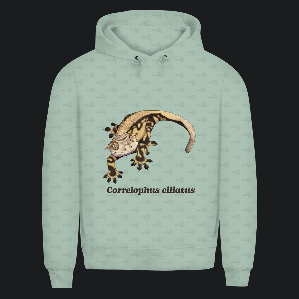 Herren Bio Hoodie mit Seitentaschen | Kronengecko | Crested Gecko | Correlophus ciliatus