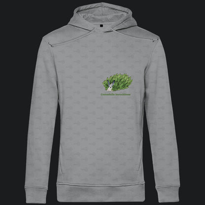 Herren  Bio Hoodie mit Seitentaschen | Blattschaf Leafsheep Costasiella kuroshimae