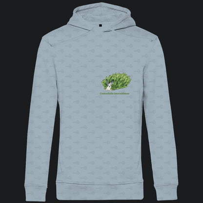 Herren  Bio Hoodie mit Seitentaschen | Blattschaf Leafsheep Costasiella kuroshimae