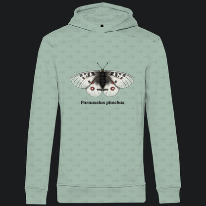 Herren  Bio Hoodie mit Seitentaschen | Alpenapollo Parnassius phoebus