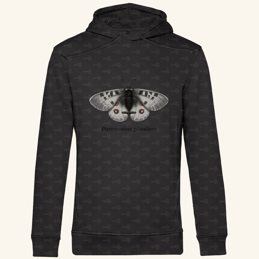 Herren  Bio Hoodie mit Seitentaschen | Alpenapollo Parnassius phoebus