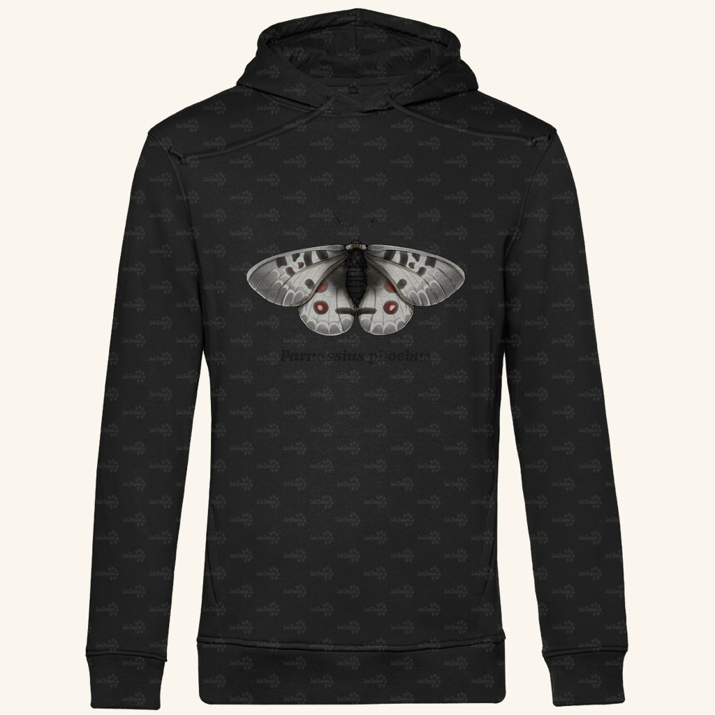 Herren  Bio Hoodie mit Seitentaschen | Alpenapollo Parnassius phoebus