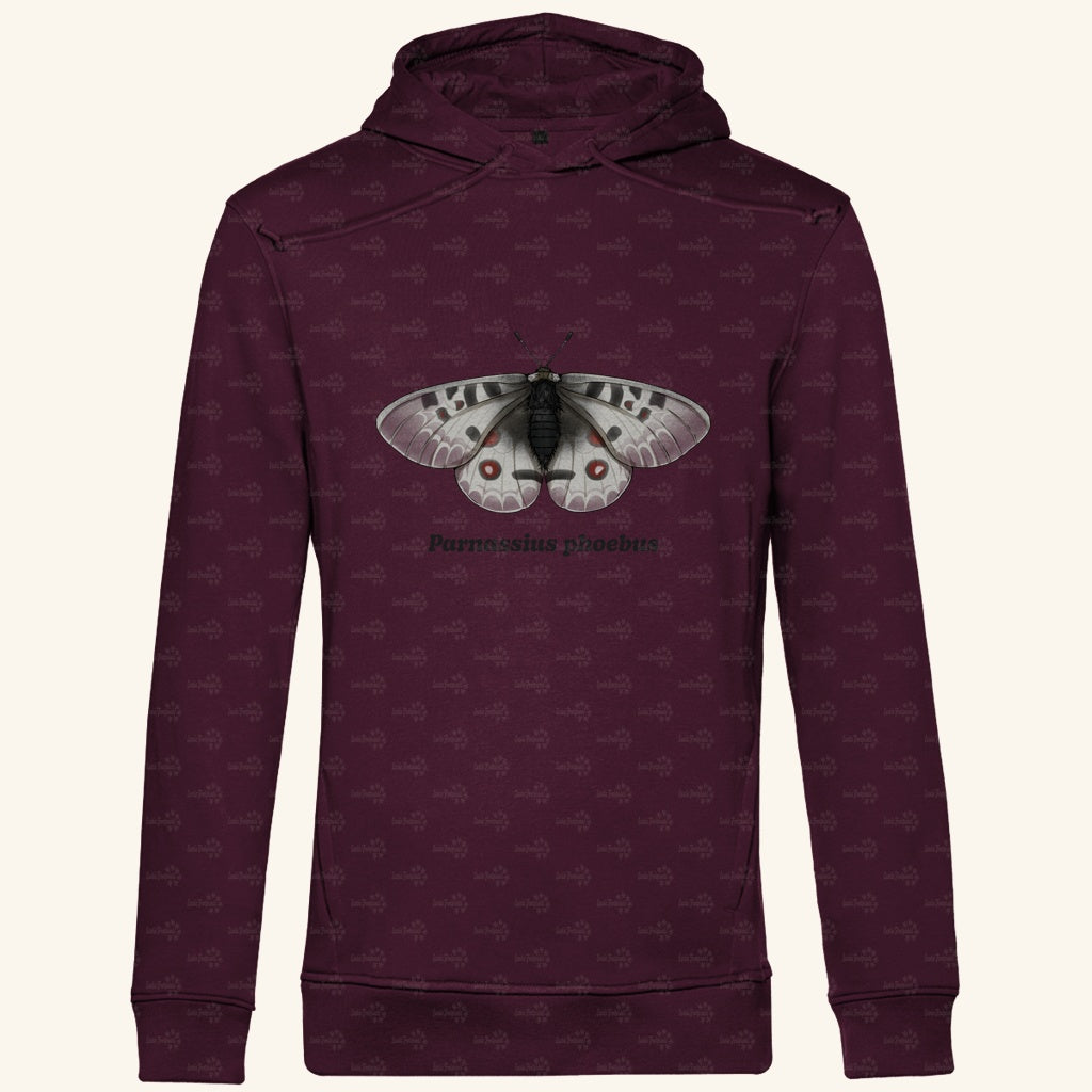 Herren  Bio Hoodie mit Seitentaschen | Alpenapollo Parnassius phoebus