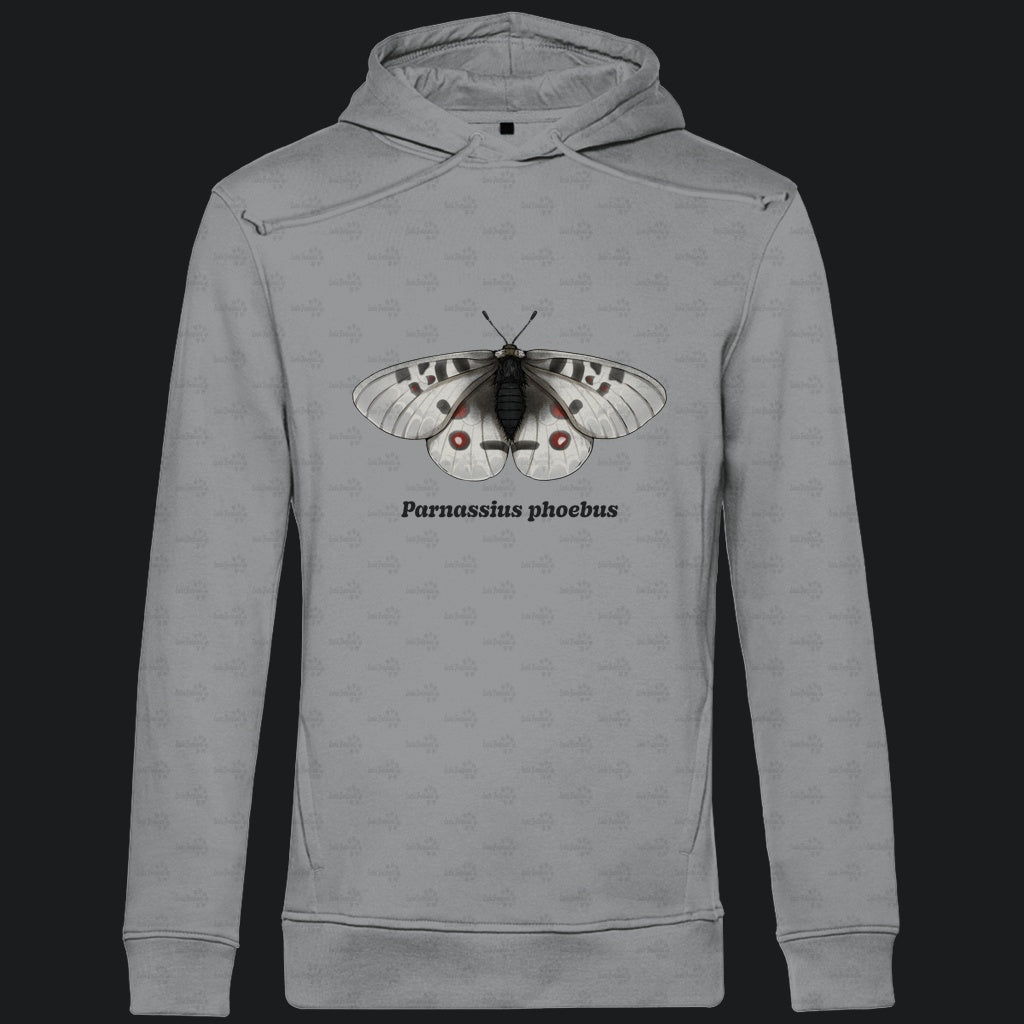 Herren  Bio Hoodie mit Seitentaschen | Alpenapollo Parnassius phoebus