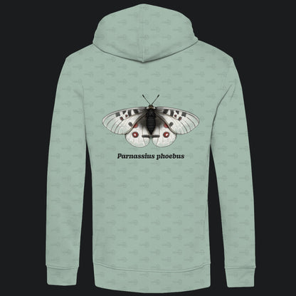 Herren  Bio Hoodie mit Seitentaschen | Alpenapollo Parnassius phoebus