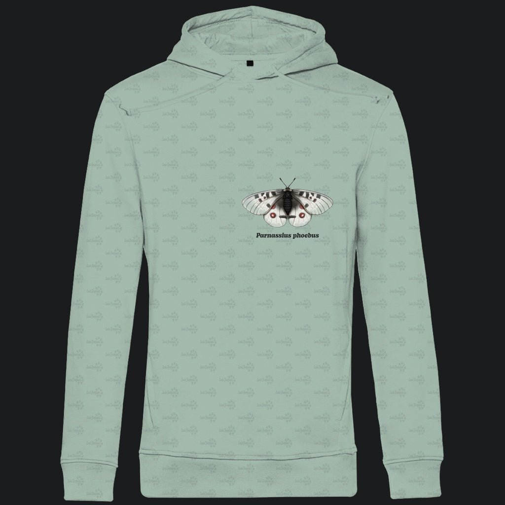 Herren  Bio Hoodie mit Seitentaschen | Alpenapollo Parnassius phoebus