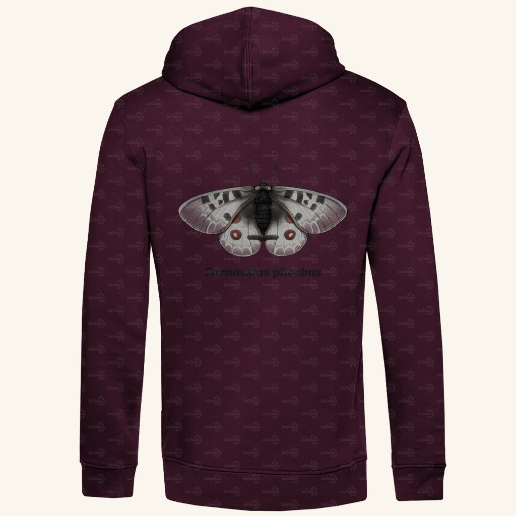 Herren  Bio Hoodie mit Seitentaschen | Alpenapollo Parnassius phoebus