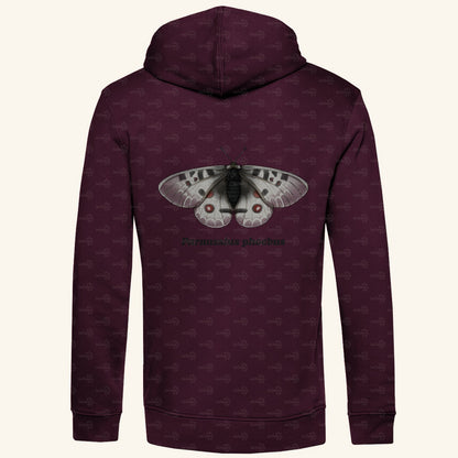 Herren  Bio Hoodie mit Seitentaschen | Alpenapollo Parnassius phoebus
