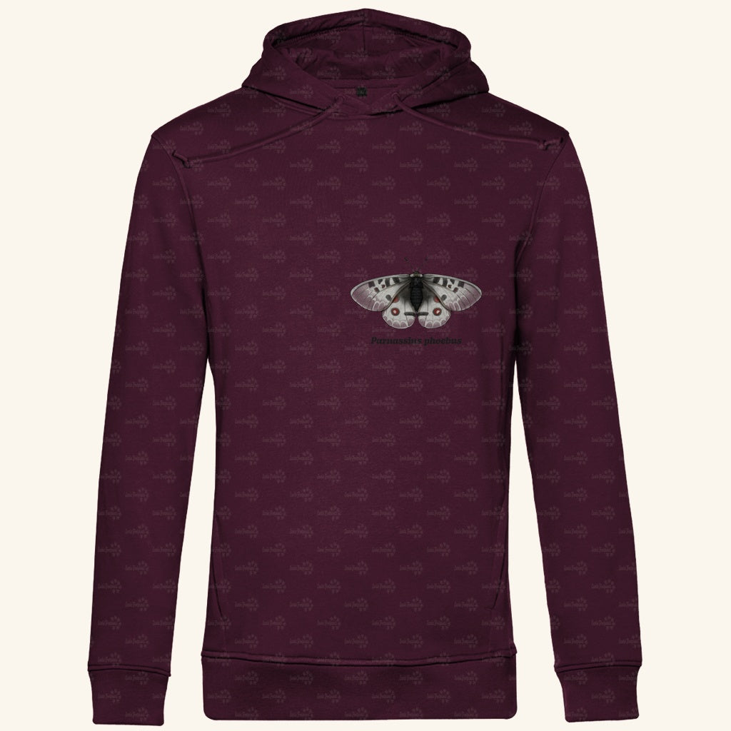 Herren  Bio Hoodie mit Seitentaschen | Alpenapollo Parnassius phoebus