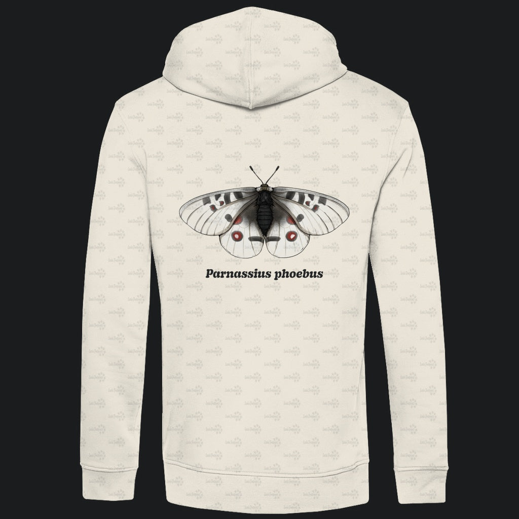 Herren  Bio Hoodie mit Seitentaschen | Alpenapollo Parnassius phoebus