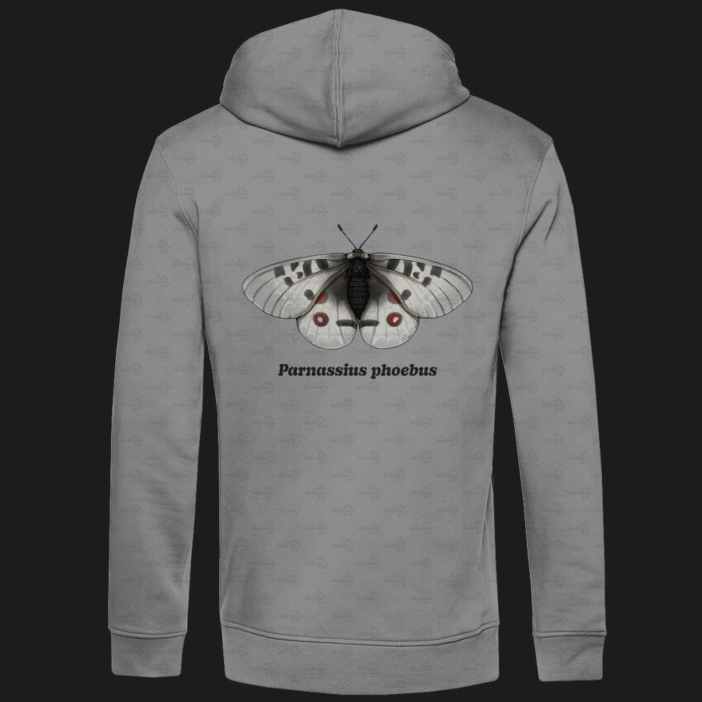 Herren  Bio Hoodie mit Seitentaschen | Alpenapollo Parnassius phoebus