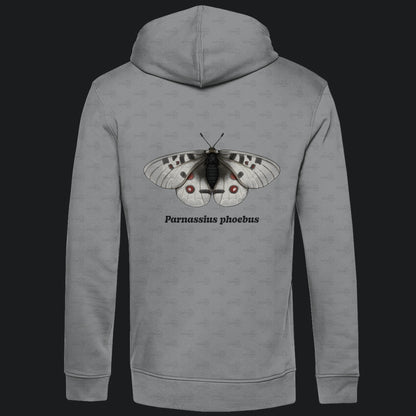 Herren  Bio Hoodie mit Seitentaschen | Alpenapollo Parnassius phoebus