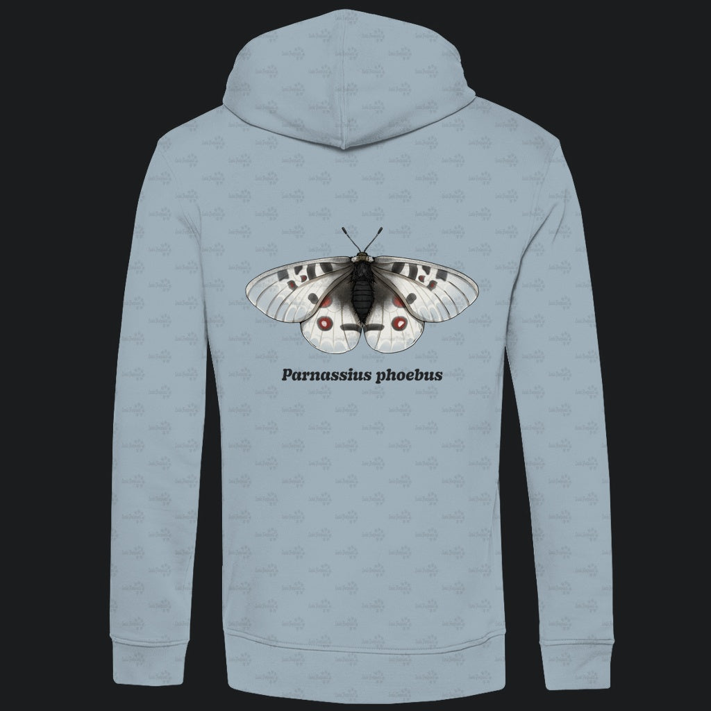 Herren  Bio Hoodie mit Seitentaschen | Alpenapollo Parnassius phoebus