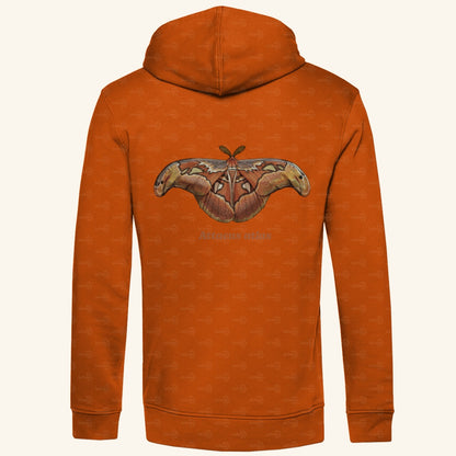 Herren Bio Hoodie mit Seitentaschen | Atlas spinner Atlas moth Attacus atlas