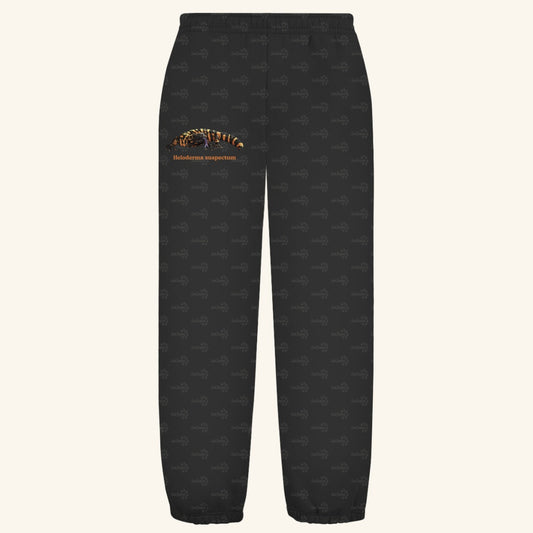 Kuschelige Unisex Sweatpants | Krustenechse Gila Monster Heloderma Suspectum