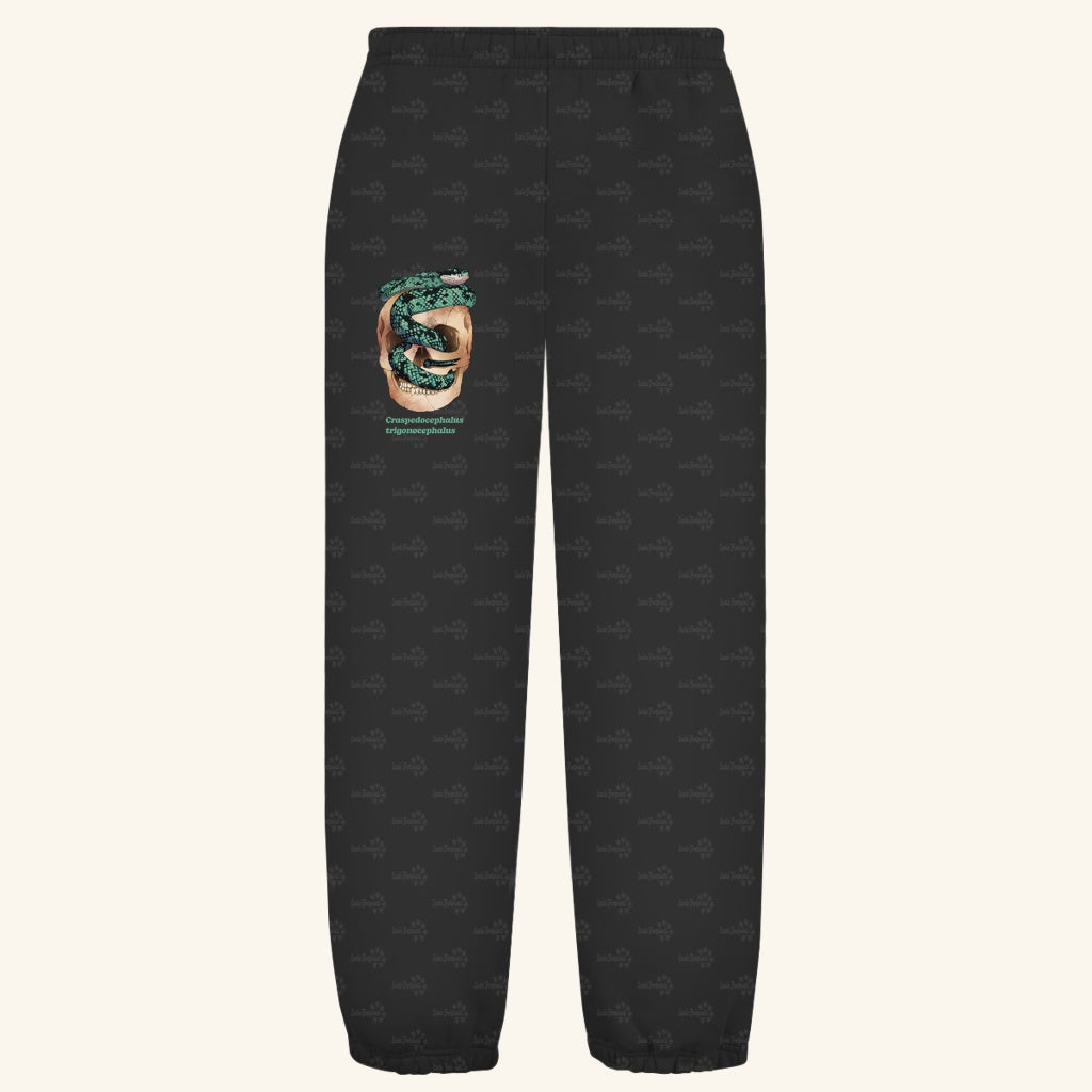 Kuschelige Unisex Sweatpants | Ceylon-Lanzenotter  Craspedocephalus trigonocephalus