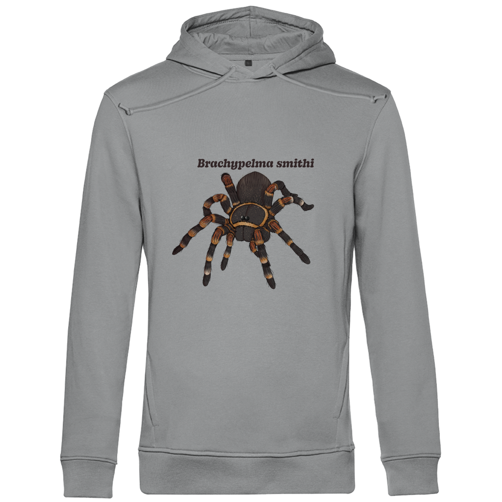 Herren Bio Hoodie mit Seitentaschen | Rotknie Vogelspinne Weiblich  Brachypelma smithi