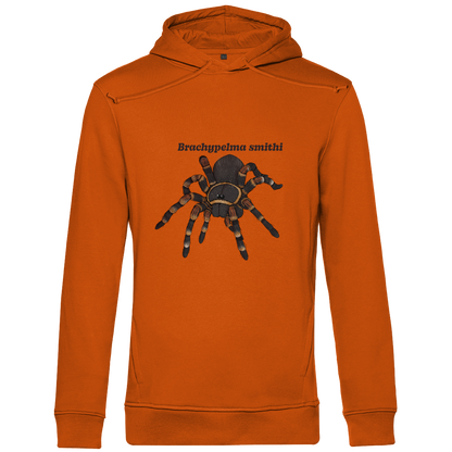 Herren Bio Hoodie mit Seitentaschen | Rotknie Vogelspinne Weiblich  Brachypelma smithi