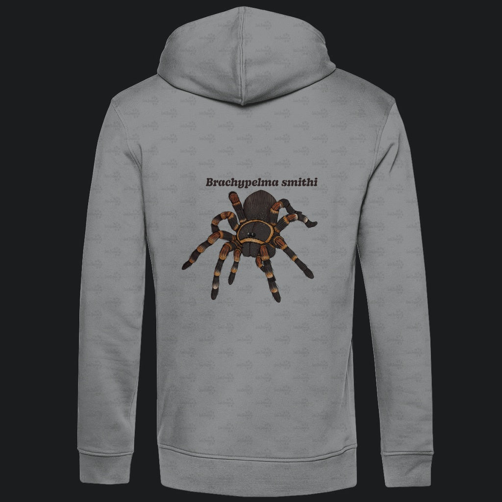 Herren Bio Hoodie mit Seitentaschen | Rotknie Vogelspinne Weiblich  Brachypelma smithi