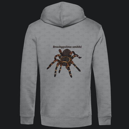 Herren Bio Hoodie mit Seitentaschen | Rotknie Vogelspinne Weiblich  Brachypelma smithi