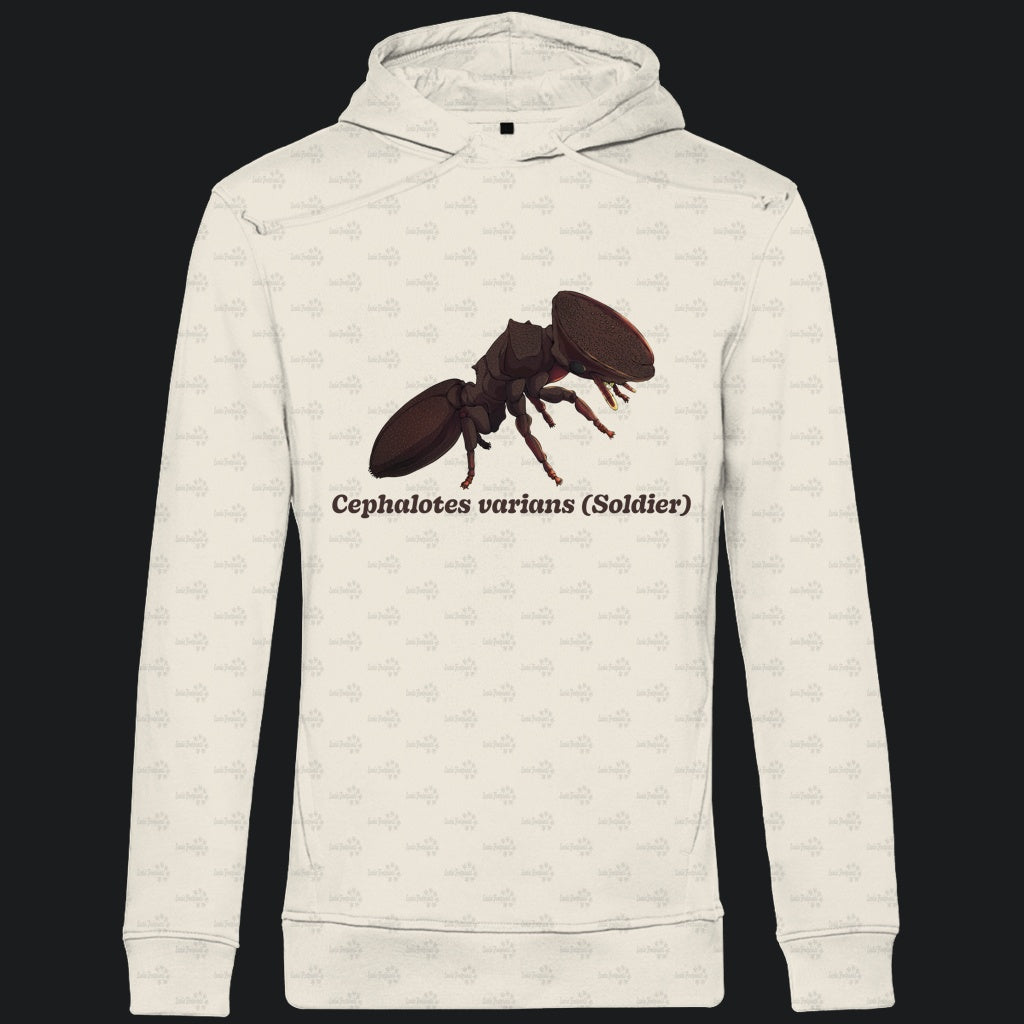 Herren Bio Hoodie mit Seitentaschen | Schildkrötenameise Cephalotes varians soldier