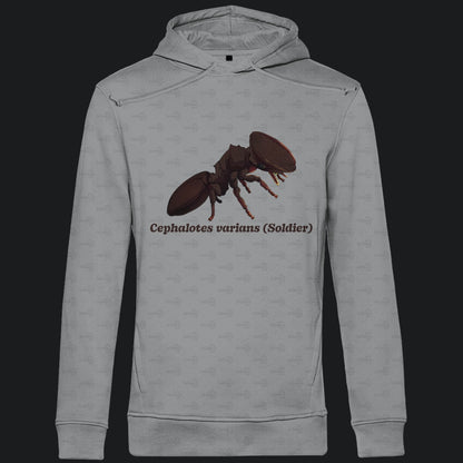 Herren Bio Hoodie mit Seitentaschen | Schildkrötenameise Cephalotes varians soldier