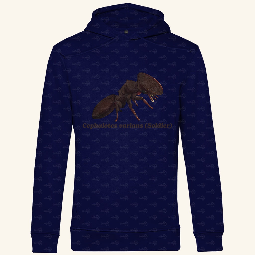 Herren Bio Hoodie mit Seitentaschen | Schildkrötenameise Cephalotes varians soldier