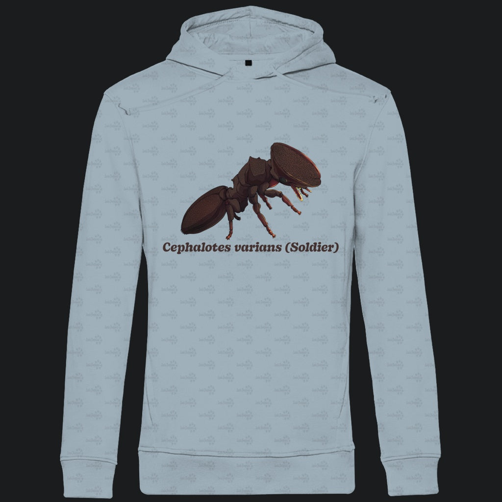 Herren Bio Hoodie mit Seitentaschen | Schildkrötenameise Cephalotes varians soldier