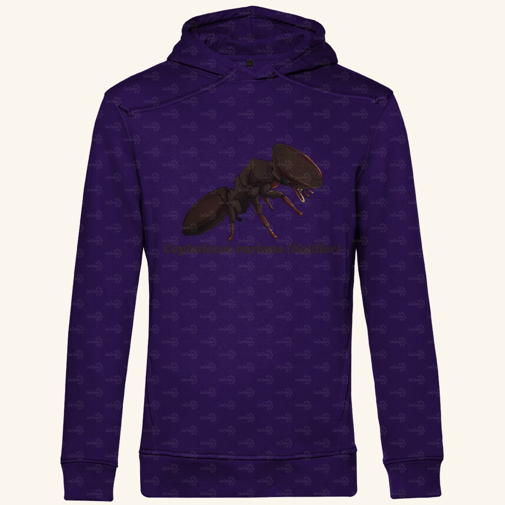 Herren Bio Hoodie mit Seitentaschen | Schildkrötenameise Cephalotes varians soldier