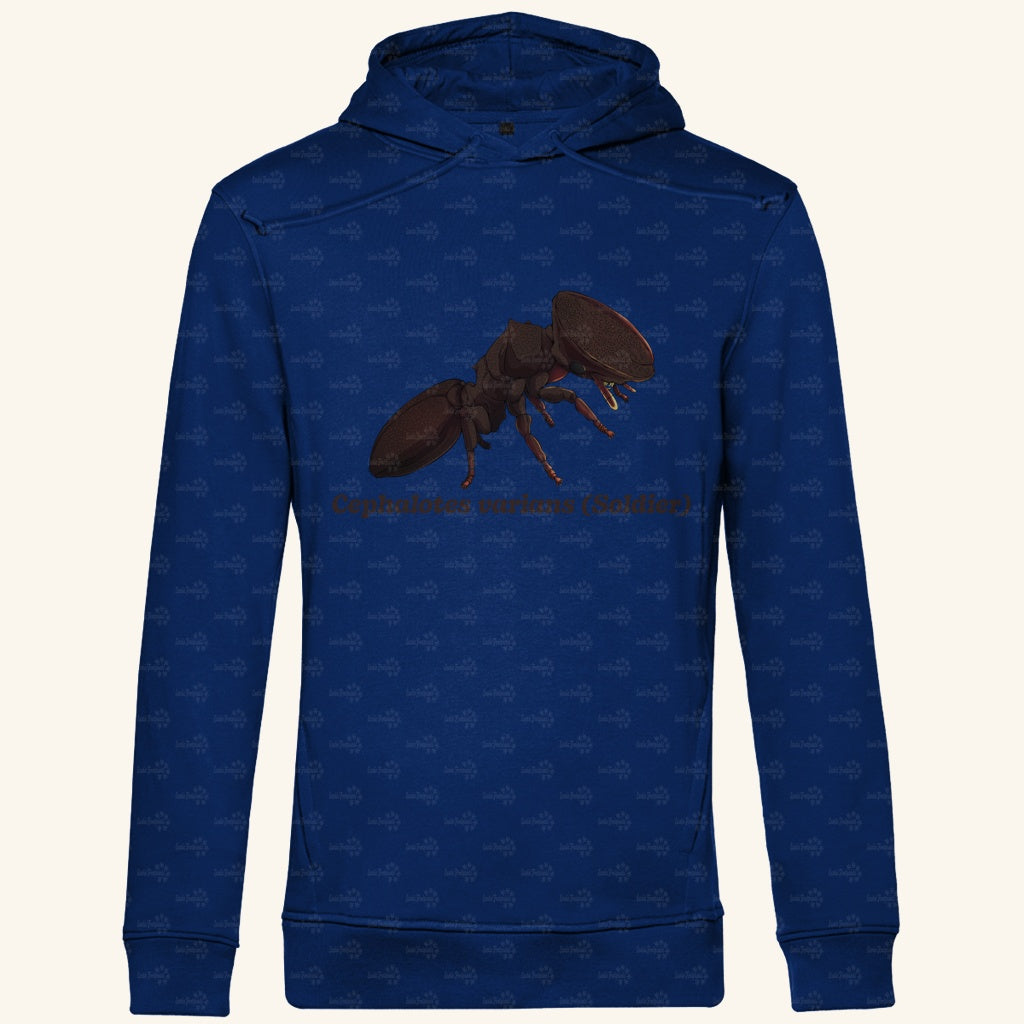 Herren Bio Hoodie mit Seitentaschen | Schildkrötenameise Cephalotes varians soldier