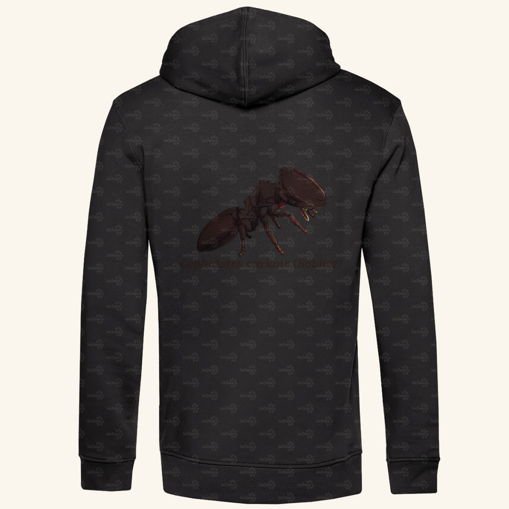 Herren Bio Hoodie mit Seitentaschen | Schildkrötenameise Cephalotes varians soldier