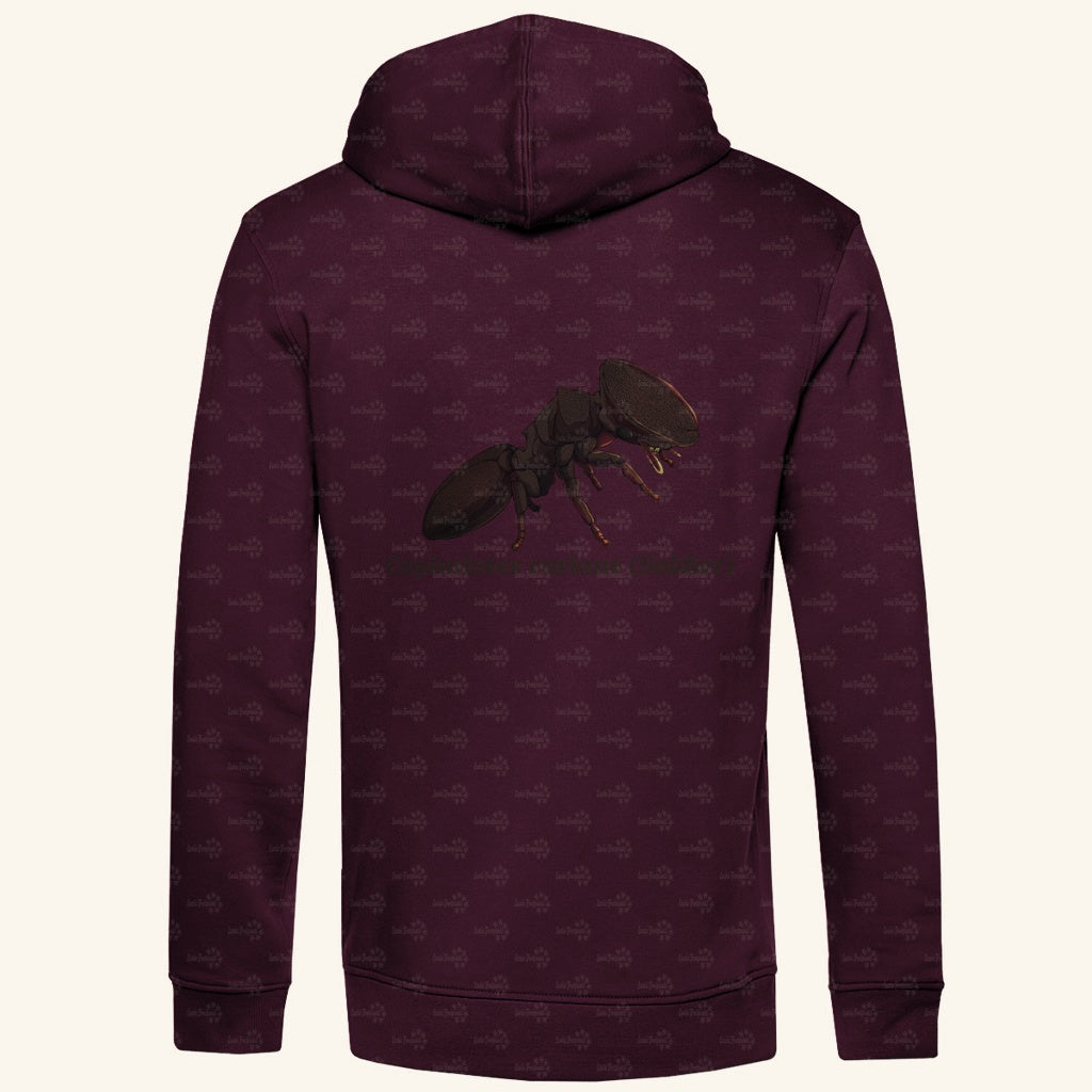 Herren Bio Hoodie mit Seitentaschen | Schildkrötenameise Cephalotes varians soldier