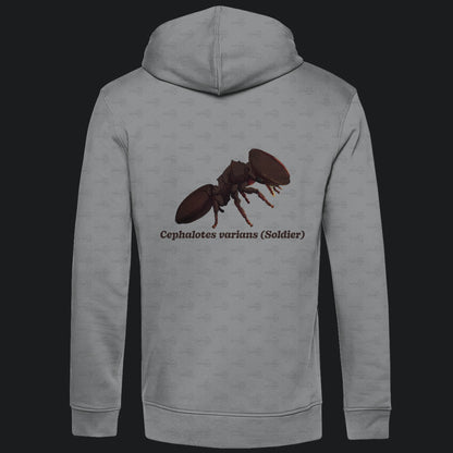 Herren Bio Hoodie mit Seitentaschen | Schildkrötenameise Cephalotes varians soldier