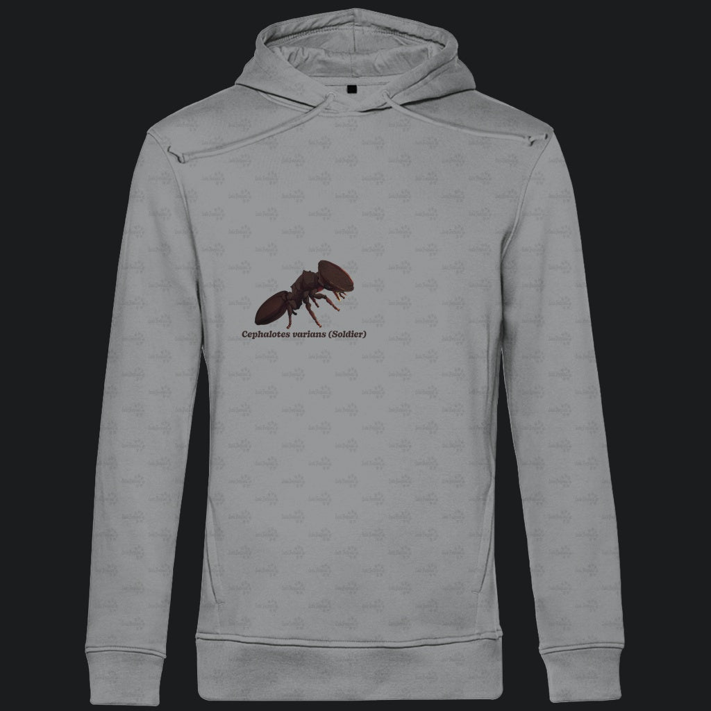 Herren Bio Hoodie mit Seitentaschen | Schildkrötenameise Cephalotes varians soldier