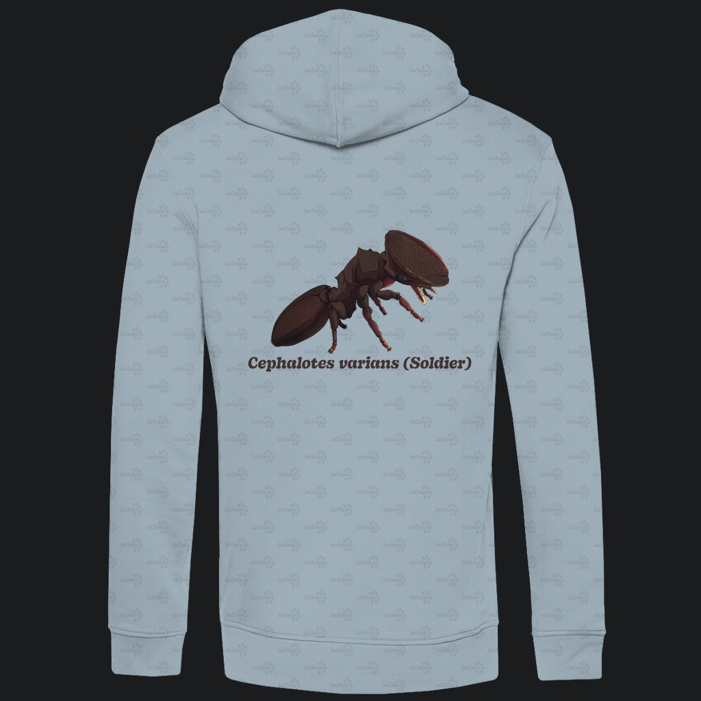 Herren Bio Hoodie mit Seitentaschen | Schildkrötenameise Cephalotes varians soldier
