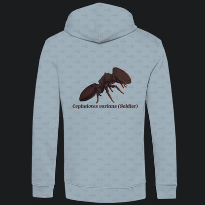 Herren Bio Hoodie mit Seitentaschen | Schildkrötenameise Cephalotes varians soldier