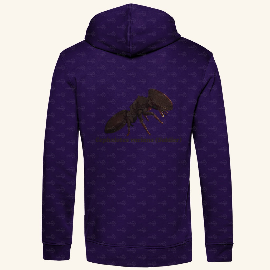 Herren Bio Hoodie mit Seitentaschen | Schildkrötenameise Cephalotes varians soldier