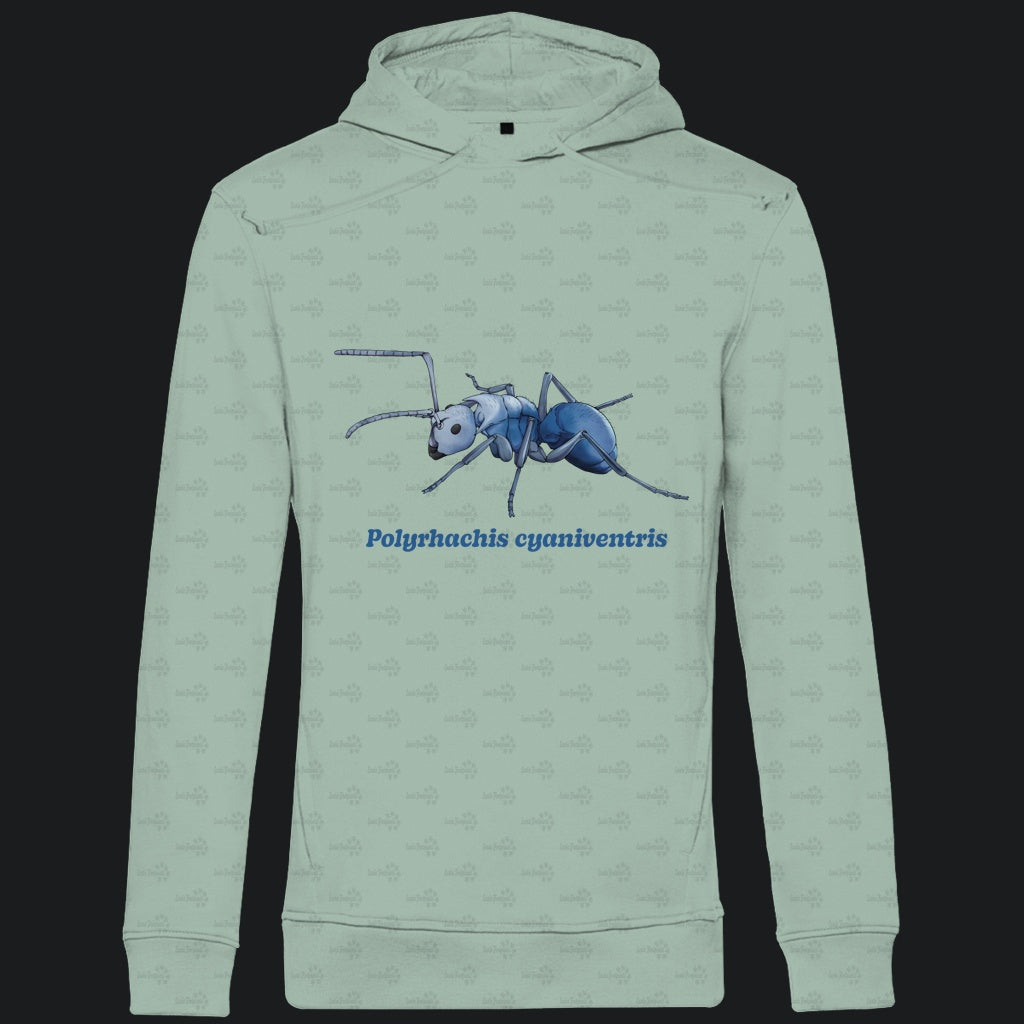 Herren  Bio Hoodie mit Seitentaschen | Blau schillernde Schuppenameise Polyrhachis cyaniventris