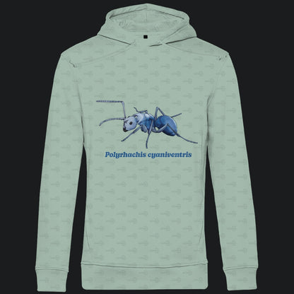 Herren  Bio Hoodie mit Seitentaschen | Blau schillernde Schuppenameise Polyrhachis cyaniventris