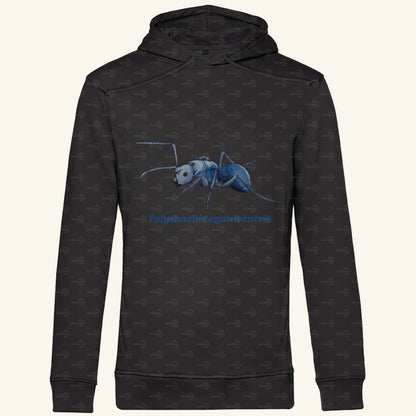 Herren  Bio Hoodie mit Seitentaschen | Blau schillernde Schuppenameise Polyrhachis cyaniventris
