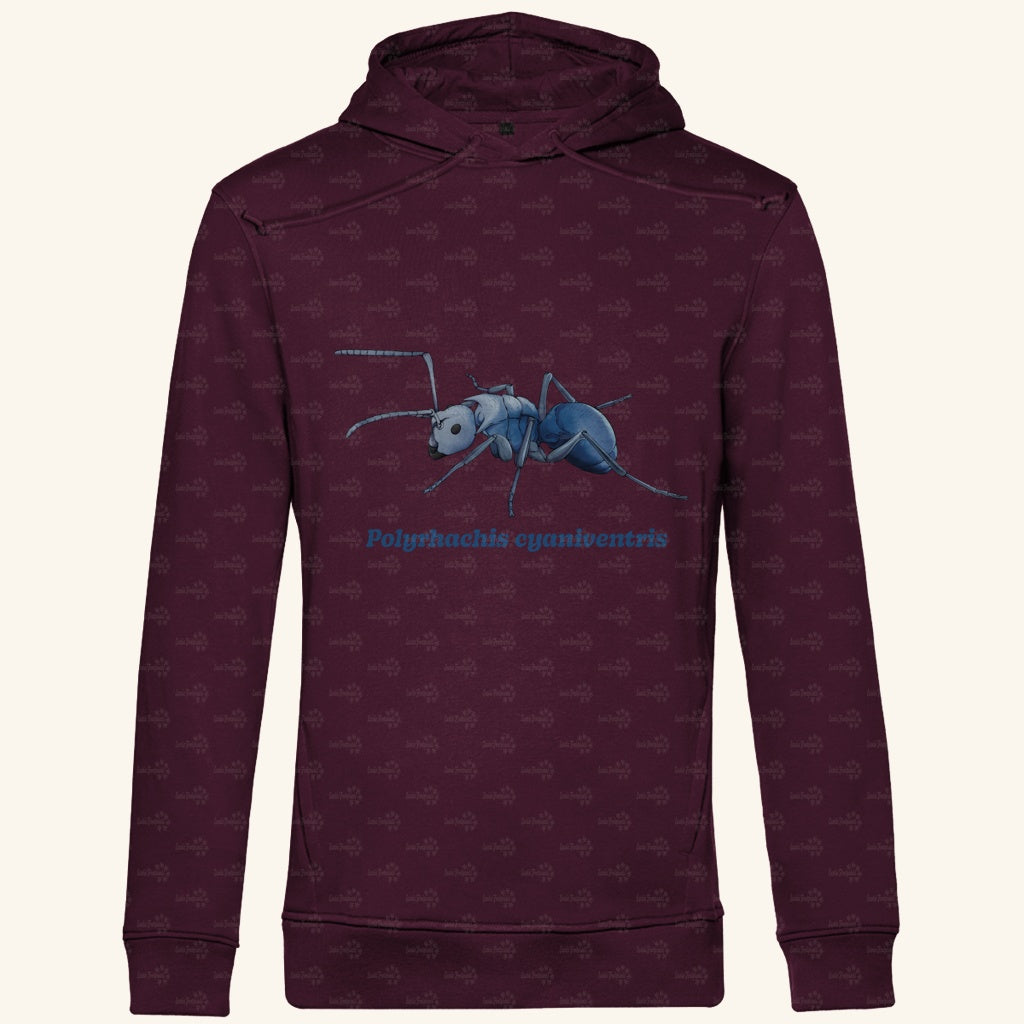 Herren  Bio Hoodie mit Seitentaschen | Blau schillernde Schuppenameise Polyrhachis cyaniventris