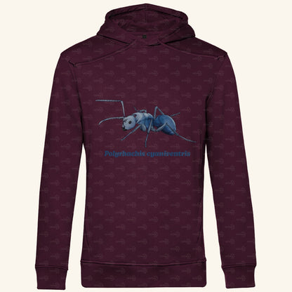 Herren  Bio Hoodie mit Seitentaschen | Blau schillernde Schuppenameise Polyrhachis cyaniventris