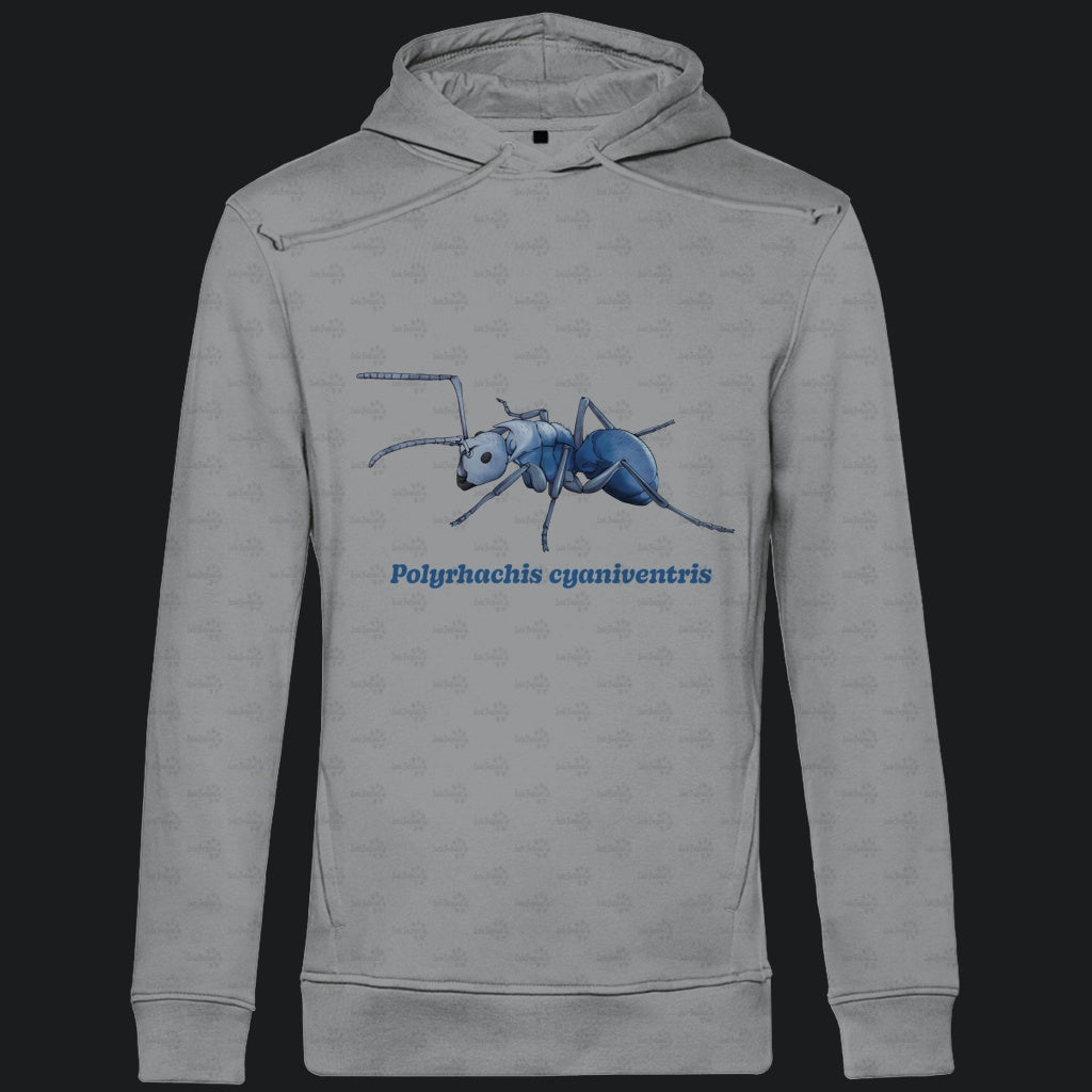 Herren  Bio Hoodie mit Seitentaschen | Blau schillernde Schuppenameise Polyrhachis cyaniventris