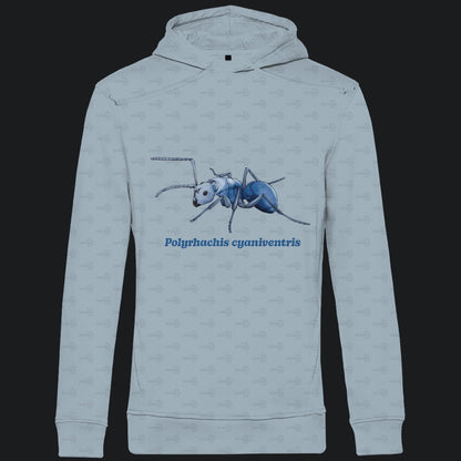 Herren  Bio Hoodie mit Seitentaschen | Blau schillernde Schuppenameise Polyrhachis cyaniventris