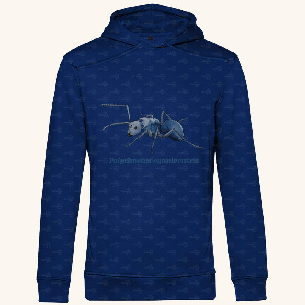 Herren  Bio Hoodie mit Seitentaschen | Blau schillernde Schuppenameise Polyrhachis cyaniventris
