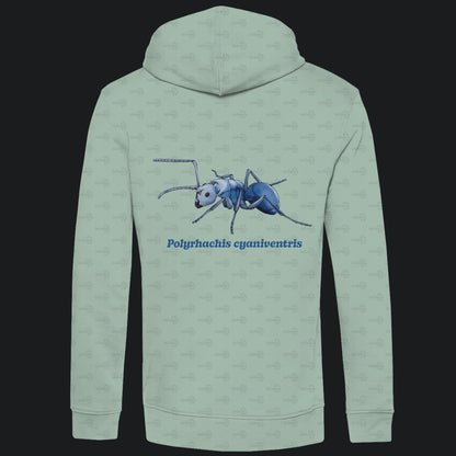 Herren  Bio Hoodie mit Seitentaschen | Blau schillernde Schuppenameise Polyrhachis cyaniventris
